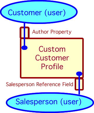 A simple model illustrating how salesperson is referenced by a field added to a custom customer profile.